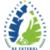 Brazilian Paranaense League