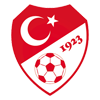 كأس بيليونير التركية