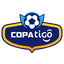 Bolivian Primera Division