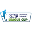 كأس الدوري في أيرلندا الشمالية