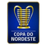 Brazilian Copa do Nordeste