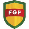 Campeonato Gaúcho 2, Brasil