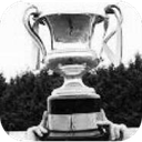 Copa Milk de Irlanda del Norte