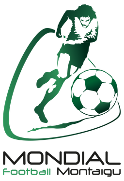 Torneio de Montaigu (feminino)