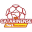 Brazilian Campeonato Catarinense Division 1