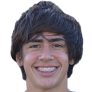 nicolas azambuja