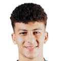 Ali Mahmoud