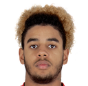 Willem Geubbels