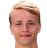 Tom van der Werff
