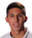 والتر رويدا