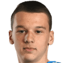 Novak Micovic
