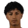 روني ترويا