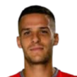 Andrea Meroni