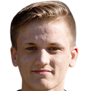 Bram van Driel