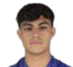 Christian Alexander Camarillo Adames