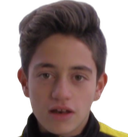 دانييل سولياني