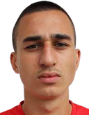 فيكتور دروسيتش
