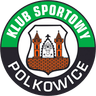 Górnik Polkowice