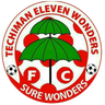 Techiman City