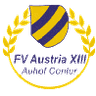 FV النمسا الثالثة عشرة