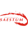 SV Saestum (w)
