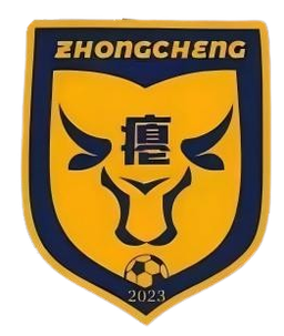 Tim Sepak Bola Desa Zhongcheng