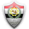 الإنتاج الحربي