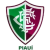 Fluminense PI (Pemuda)