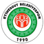إتيميسغوت البلدي