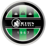 Skjetten