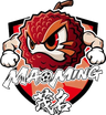 Equipe de Maoming