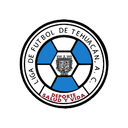 Liga de Futbol de Tehuacan