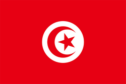 تونس تحت 17