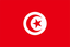 تونس تحت 17