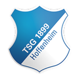 TSG 1899 هوفنهايم