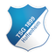 TSG 1899 هوفنهايم