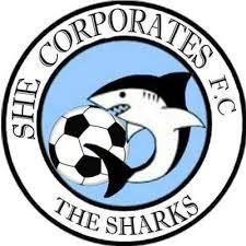 She Corporate Feminino