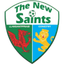 The New Saints (w)