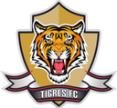 Tigres Zipaquira