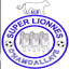 Super Lionnes (W)