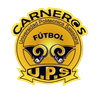 Carneras UPS (W)