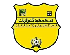 مالية كفر الزيات