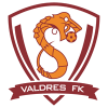 Valdres FK U19 Valdres FK U19