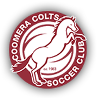 Coomera Colts