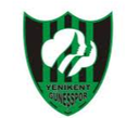 Sakarya Yenikent Gunesspor (w)