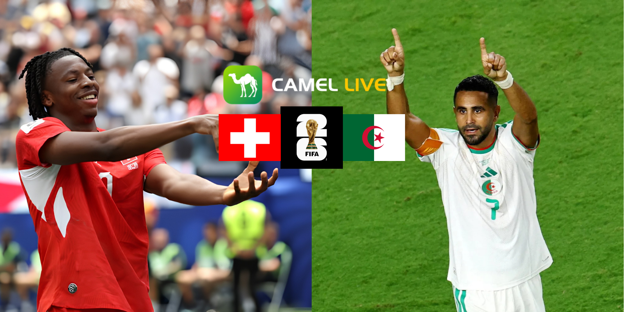 【Click to get your supported team's FREE avatar 】How to Watch World Cup Round of 32 Switzerland vs Algeria :Free Live Stream, TV channel and Start Time