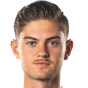 Nicolás van Rijn Portabella