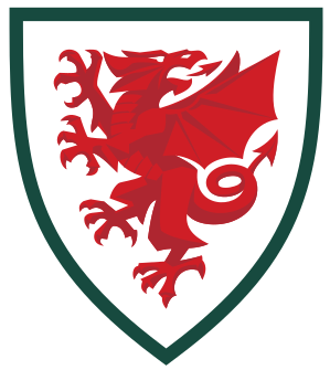 Gales sub-19