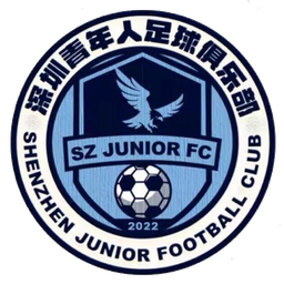Pemuda Shenzhen