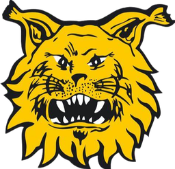 FC Ilves II U20 FC Ilves II U20
